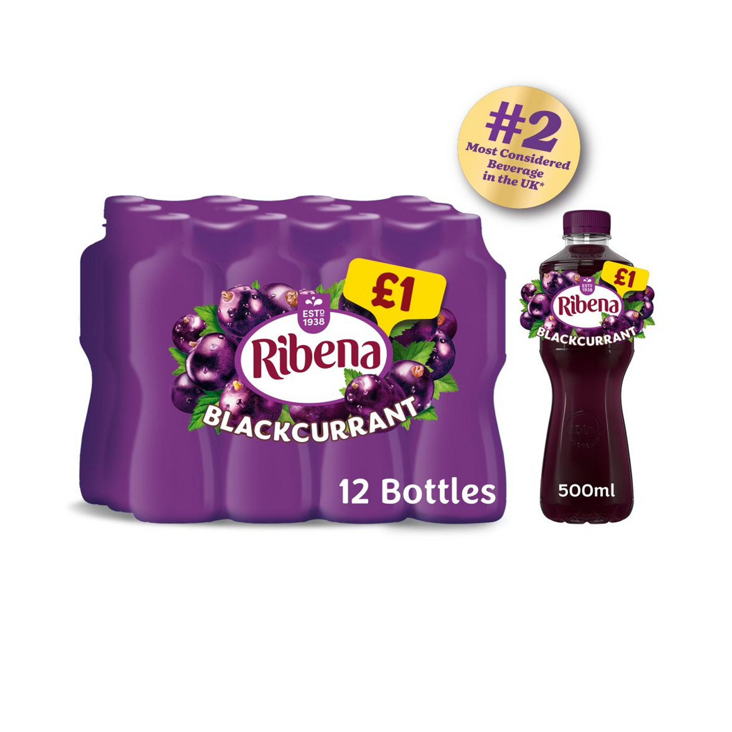 Ribena 12 x 500ml Bottles Case